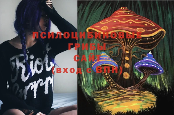 стафф Майский