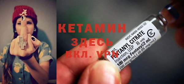 стаф Магас