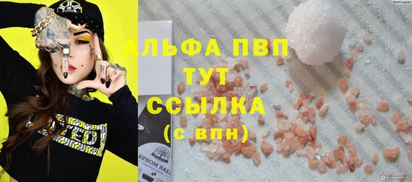 стаф Магас